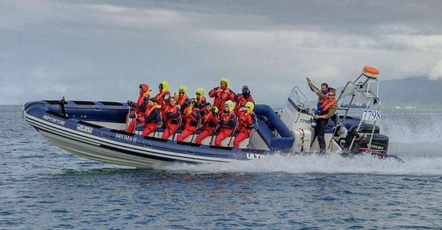 Reykjavik: Premium Whale Watching with Flexible Ticket - The boat setup that matters: suspension seats, warm overalls, and open-air reality