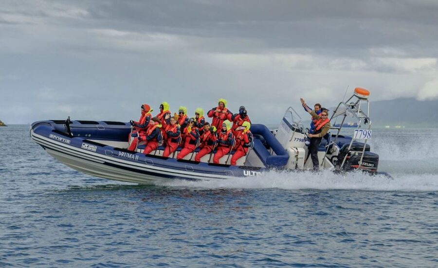Reykjavik: Premium Whale Watching with Flexible Ticket - What wildlife you can realistically look for in Faxaflói Bay