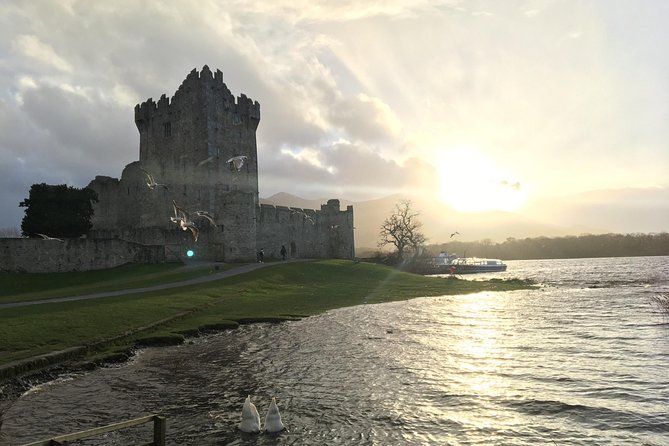 Ring of Kerry Tour Private Chauffeur Driven From Killarney - Why Private Ring of Kerry Feels Different From a Big Bus