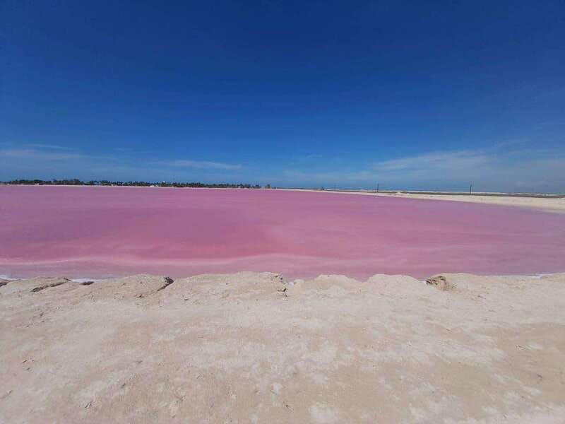 Rio Lagartos and Las Coloradas: Safari Flamingo Luxury - Río Lagartos to Las Coloradas: Why This 3-Hour Safari Works