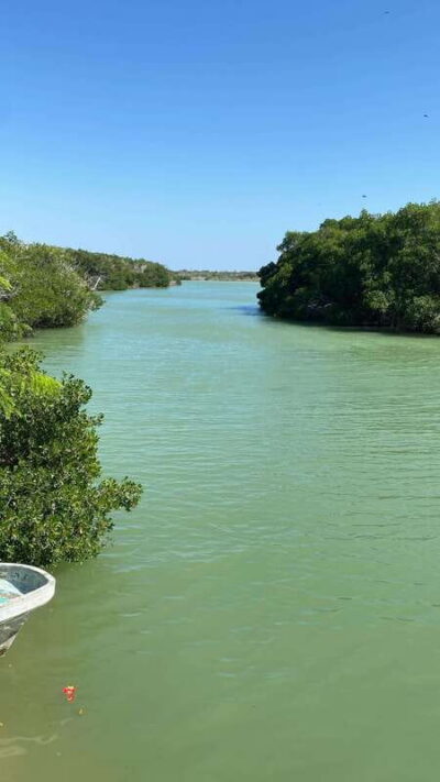Rio Lagartos and Las Coloradas: Safari Flamingo Luxury - Private Boat Comfort: Mangrove Channels and Close Wildlife Viewing