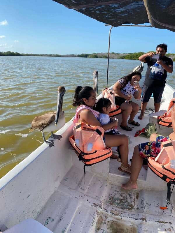 Rio Lagartos and Las Coloradas: Safari Flamingo Luxury - Flamingos at Las Coloradas: What You’re Really Chasing