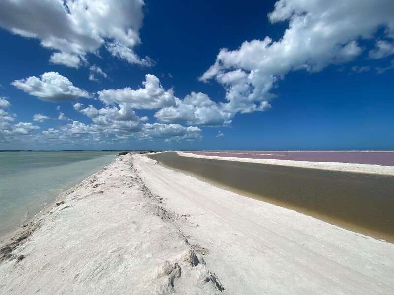 Rio Lagartos and Las Coloradas: Safari Flamingo Luxury - Gulf of Mexico Swim and the Dolphin Chance