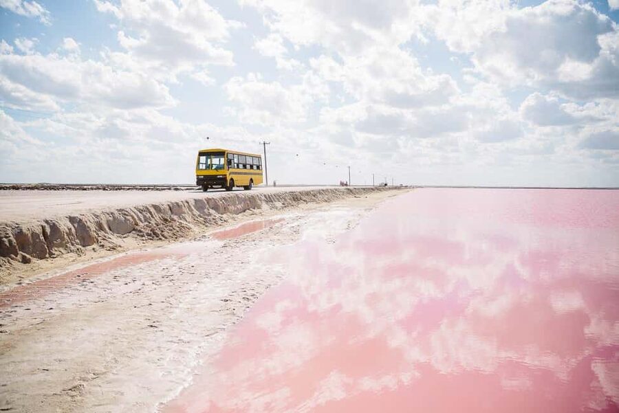 Rio Lagartos and Las Coloradas: Safari Flamingo Luxury - Price and Value: What You’re Paying For (and What You Might Still Add)