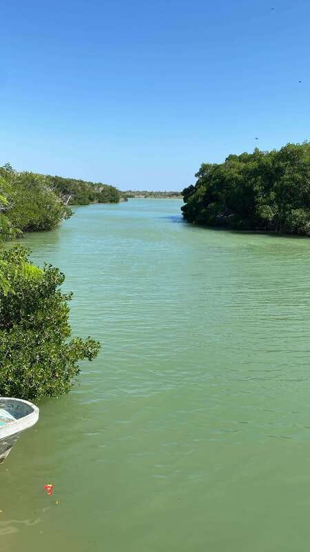 Rio Lagartos and Las Coloradas: Safari Flamingo Luxury - Private Boat Comfort: Mangrove Channels and Close Wildlife Viewing