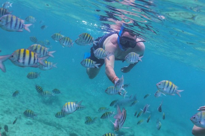 Riviera Maya Luxury Snorkeling Cruise with Lunch and Drinks - Paddleboarding and Water Time: Optional, But Often the Fun Bonus