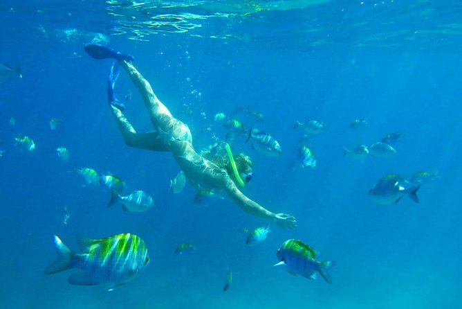 Riviera Maya Luxury Snorkeling Cruise with Lunch and Drinks - Lunch and Drinks: Not a Tiny Snack, But Still a Simple Meal
