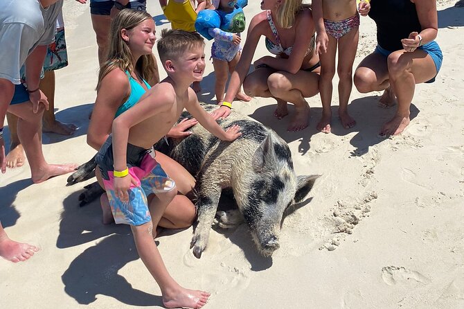 Rose Island 3 Island Luxury Private Tour(8hrs) - How the 8-hour schedule stays fun instead of frantic