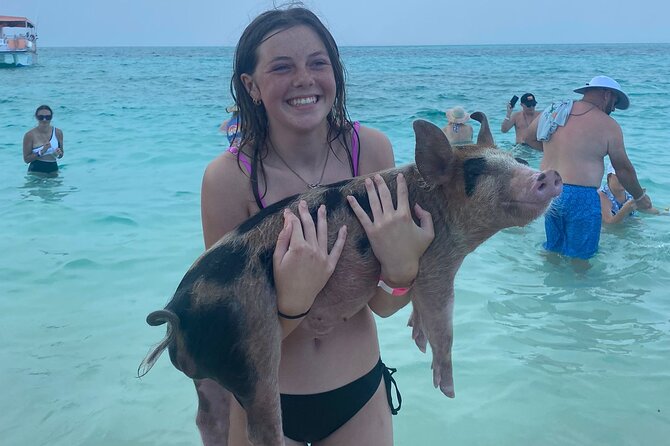 Rose Island 3 Island Luxury Private Tour(8hrs) - Stop 3: Rose Island pig swimming, beach bar lunch, and paddle/kayak time