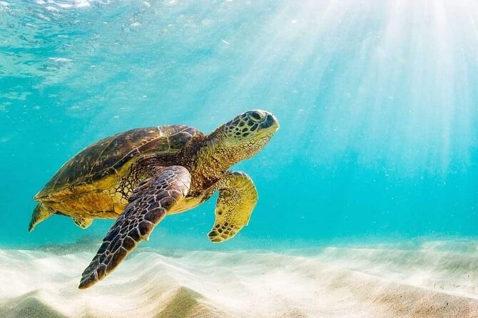 Rose Island 3 Island Luxury Private Tour(8hrs) - The meeting point and timing that keep your day on track