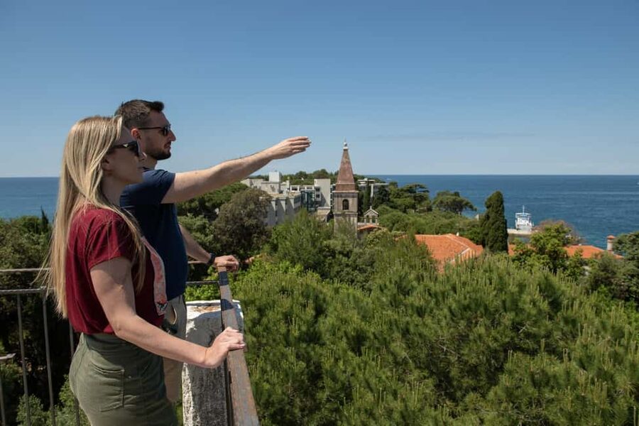 Rovinj: Luxury Island Hopping with Swimming & Snorkeling - Figarola island swim and shade: the relaxing reset