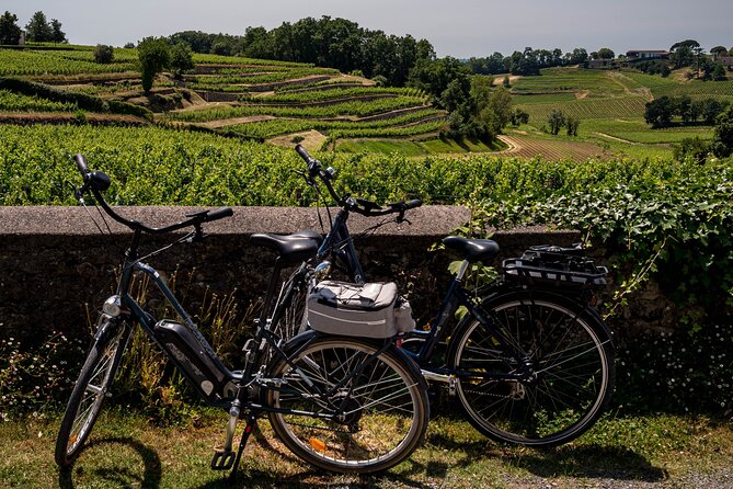 Saint-Émilion Wine Tour By Premium Electric Bike, Lunch Included - Key highlights worth planning for