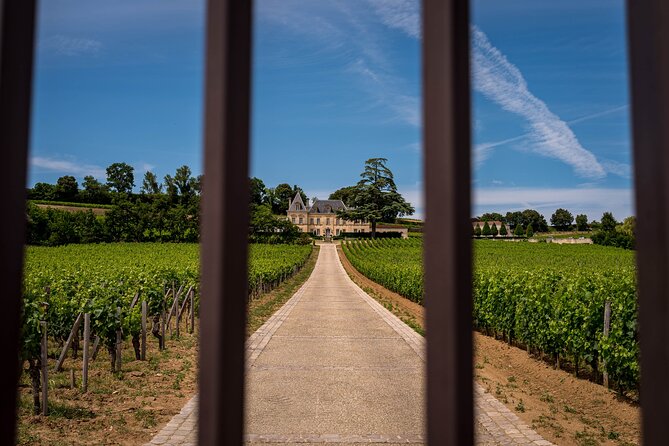 Saint-Émilion Wine Tour By Premium Electric Bike, Lunch Included - Back in Saint-Émilion: final riding and the merchant tasting