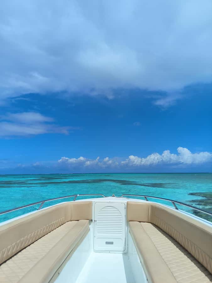 San Andres: Private San Andres Bay Tour by Luxury Speedboat - El Palito shallow sand: stars, cucumbers, and sea urchins in the shallows