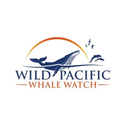 San Diego: Luxury Year-round Whale Watching & Dolphin Tour - Key things that make this tour worth your time