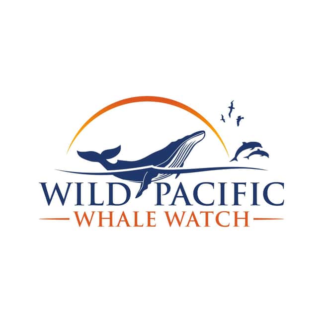 San Diego: Luxury Year-round Whale Watching & Dolphin Tour - Key things that make this tour worth your time