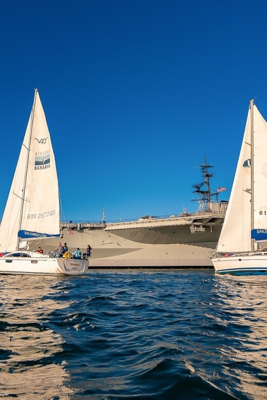 San Diego: Relax on a Morning, Day or Sunset Luxury Sail - Wildlife Watching Without the Hassle: Sea Lions, Dolphins, and Whale Chances