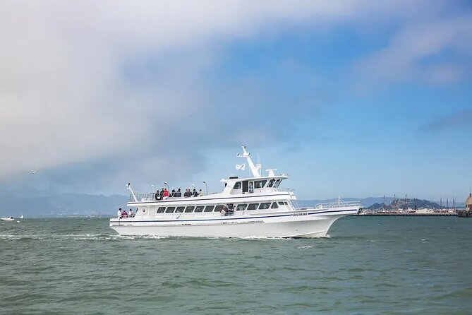 San Diego Whale/Dolphin Watching Cruise Aboard Luxury Vessel - The Real Itinerary: How the 3.5 Hours Work on the Water