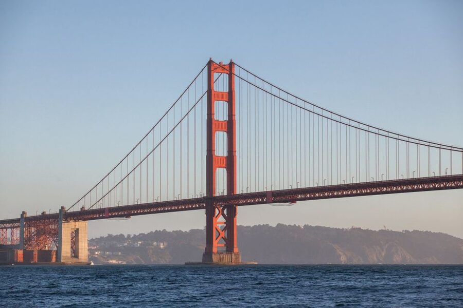 San Francisco Bay Sunset Cruise by Luxury Catamaran - Pier 39 Sea Lions and Wildlife: The Part You Can’t Guarantee, But Can Try For