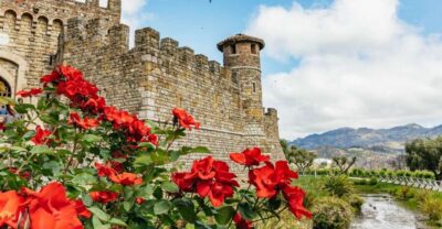 San Francisco: Luxury Small-Group Wine Tour of Napa Valley - The Napa Lesson You’ll Actually Use: Microclimates, Soil, and Grape Choices