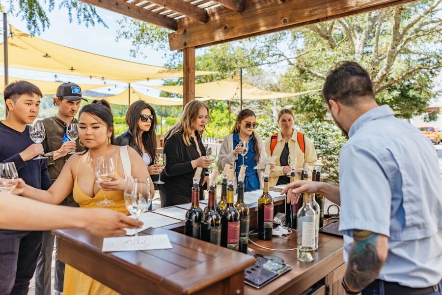 San Francisco: Luxury Small-Group Wine Tour of Napa Valley - Pacing, Group Size, and the Day’s Real-World Feel