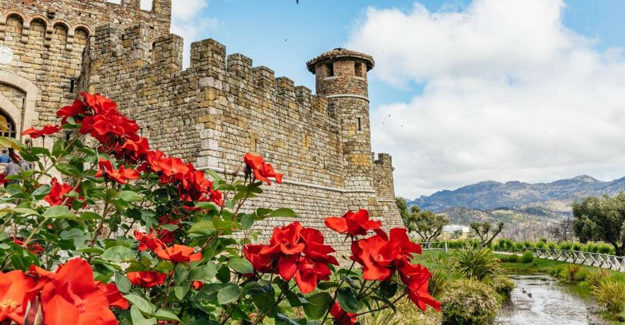 San Francisco: Luxury Small-Group Wine Tour of Napa Valley - The Napa Lesson You’ll Actually Use: Microclimates, Soil, and Grape Choices
