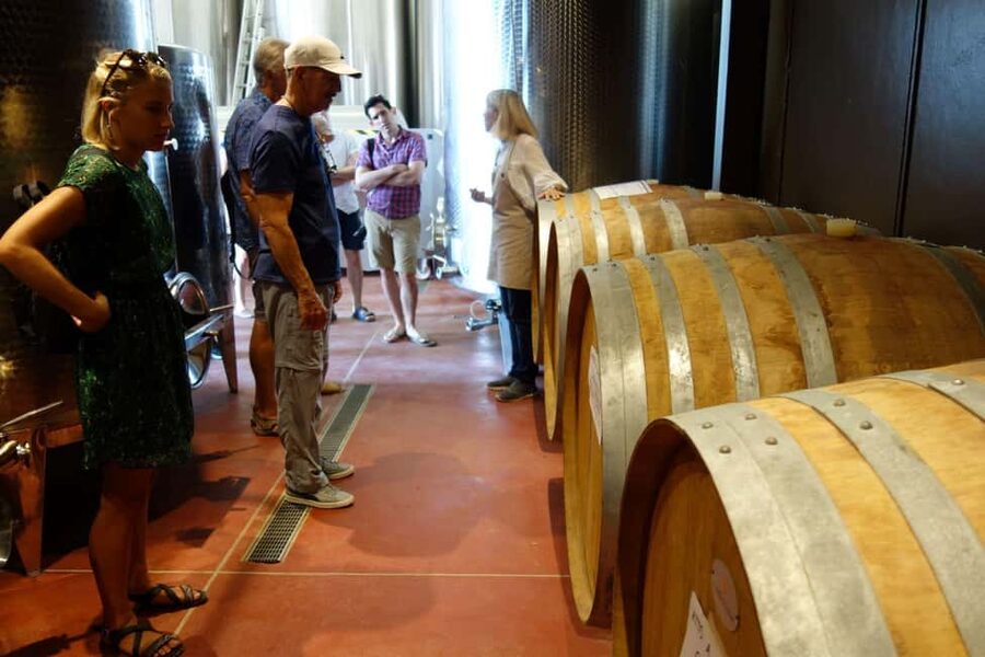 San Gimignano: Premium Wine Tour with Lunch - Should You Book This San Gimignano Premium Wine Tour?