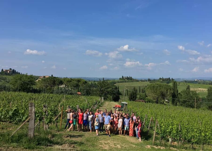 San Gimignano: Premium Wine Tour with Lunch - San Gimignano Vineyards and Vernaccia: What the 2.5 Hours Gives You