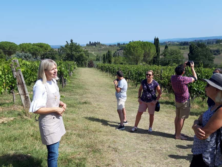San Gimignano: Premium Wine Tour with Lunch - Vineyard Walk and Wine Cellar Tour: How the Cycle Actually Works