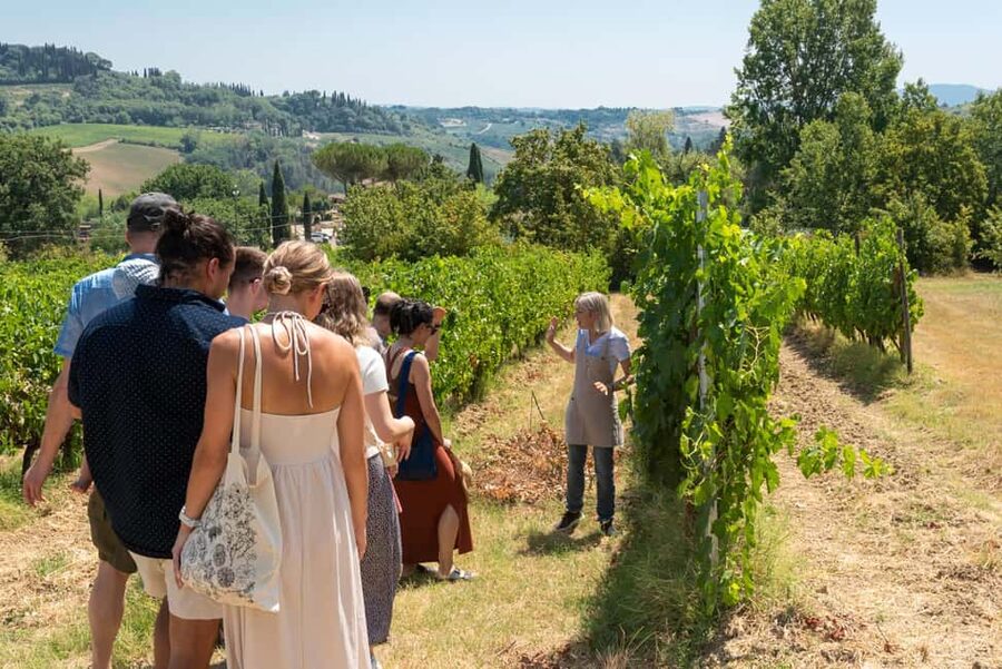 San Gimignano: Premium Wine Tour with Lunch - Food Pairing and the Local Ingredient Checklist
