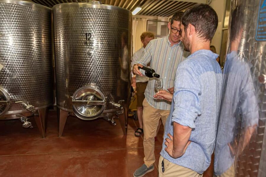San Gimignano: Premium Wine Tour with Lunch - Price and Value: Why $77 Can Make Sense Here