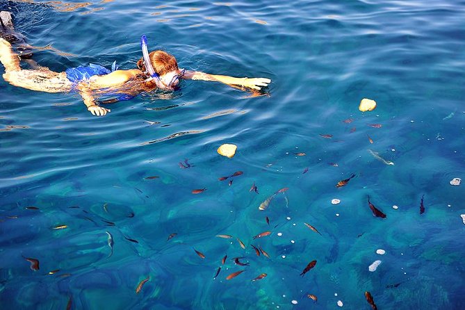 Santorini Luxury Catamaran Sunset Cruise with BBQ, Drink and Transfer - Red Beach and White Beach: snorkeling that’s built into the schedule