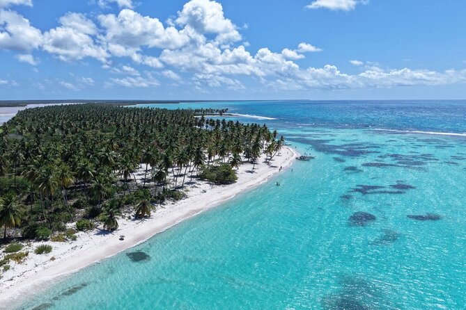 Saona Island Premium Discovery Tour from Punta Cana or Bayahíbe - Key points to know before you go