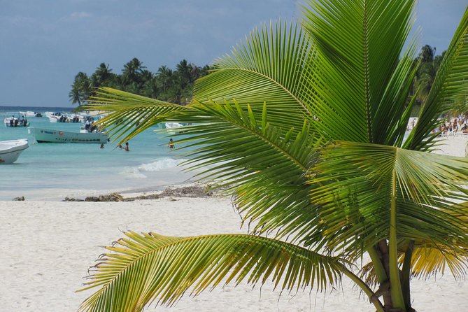 Saona Island small group and relax - luxury catamaran - Leaving La Romana energy behind: the Bayahibe morning and why timing matters
