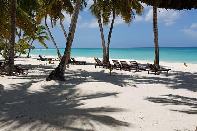 Saona Island small group and relax - luxury catamaran - The crew and live commentary: why the day feels guided (not just scheduled)