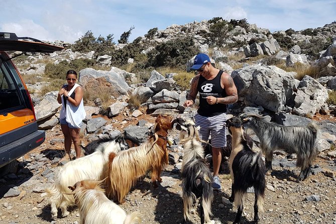 Sarakina Gorge, Kritza, Oliveoil Tasting, Mountains, South Coast - Paralia Myrtos swim: cool down in the Libyan Sea