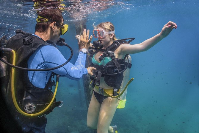 Scuba Diving with a 5-Star PADI Center in Puerto Vallarta - The 8:00am-to-lunch rhythm: what your day feels like