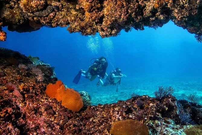 Scuba Diving with a 5-Star PADI Center in Puerto Vallarta - Price and value: what you pay up front vs what can add up