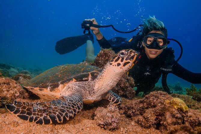 Scuba Diving with a 5-Star PADI Center in Puerto Vallarta - Who should book this Puerto Vallarta program