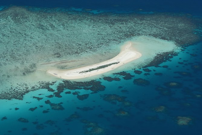Seastar Luxury Outer Great Barrier Reef Island and Reef Tour - Key highlights worth circling
