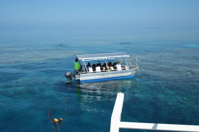 Seastar Luxury Outer Great Barrier Reef Island and Reef Tour - Snorkeling confidence: what the guides actually do with you in the water