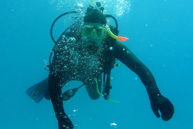 Seastar Luxury Outer Great Barrier Reef Island and Reef Tour - Price and value: is $190.07 per person a fair deal?
