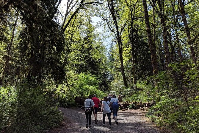 Seattle Wine and Waterfall Luxury Small-Group Day Tour with Lunch - Snoqualmie Falls: 261 Feet of Power Plus a Half-Mile Forest Option