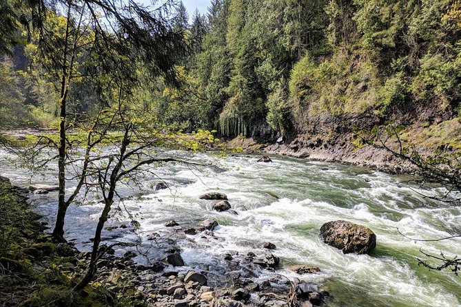 Seattle Wine and Waterfall Luxury Small-Group Day Tour with Lunch - Woodinville Wine Country: Three Tastings, Guided, and Fees Covered