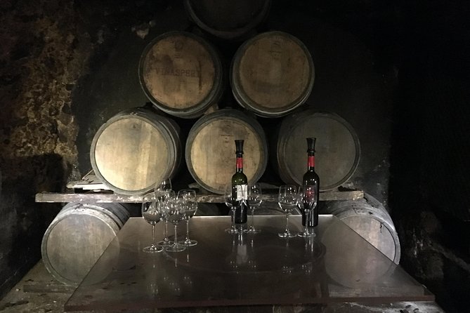 Semi-Private Rioja Tour of 3 Premium Wineries from Bilbao - Key highlights at a glance
