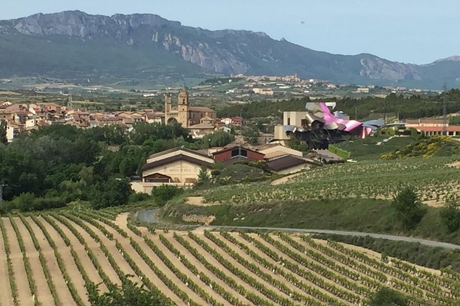 Semi-Private Rioja Tour of 3 Premium Wineries from Bilbao - Frank Gehry at Marques de Riscal: quick, iconic, and camera-friendly