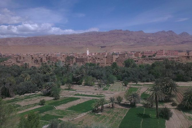 Shared Marrakech Desert Tour with Luxury camp - Why this Marrakech-to-Sahara route makes sense