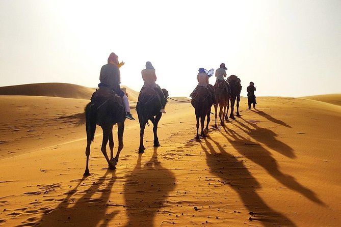 Shared Marrakech Desert Tour with Luxury camp - Price and logistics: is $174.22 good value?