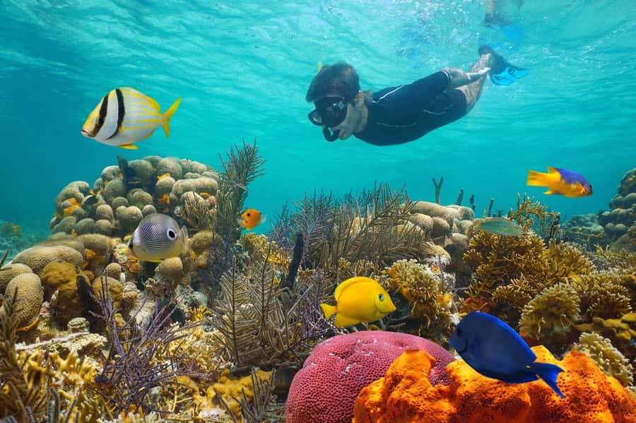 Sharm El Sheikh: Luxury boat Cruise with Snorkeling & Lunch - Key things to know before you go