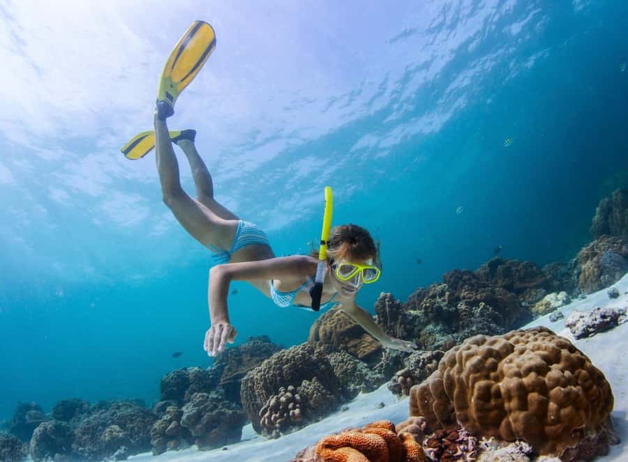 Sharm El Sheikh: Luxury boat Cruise with Snorkeling & Lunch - Optional upgrade: intro scuba sessions and when they’re worth the extra money
